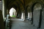 PICTURES/Ghent -  St. Bavo Abbey/t_Walkway2.JPG